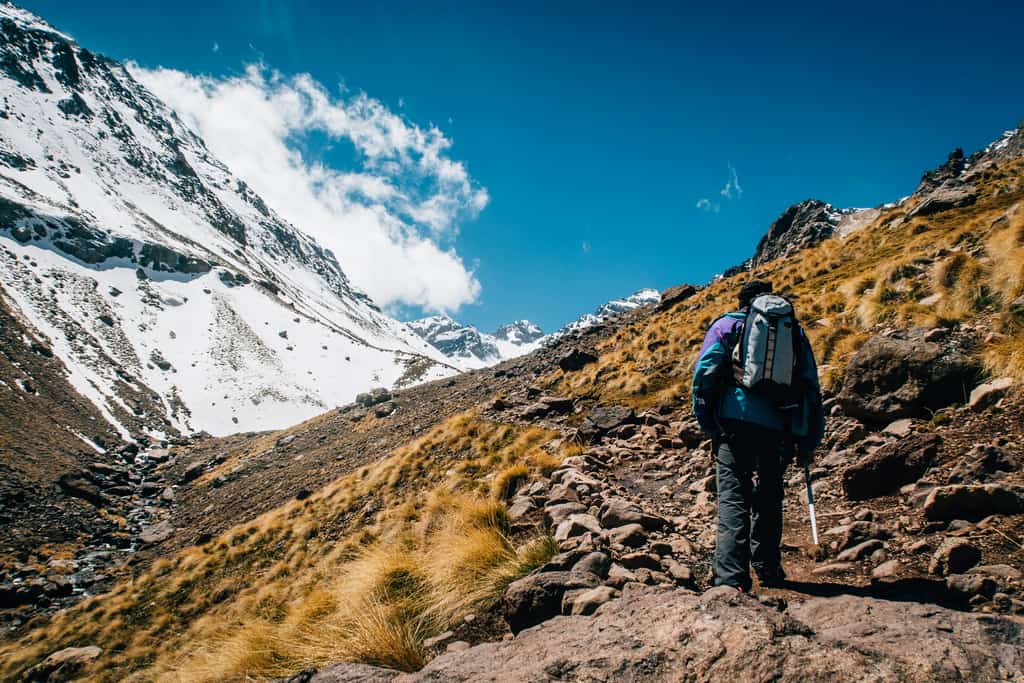 Basecamp Essentials