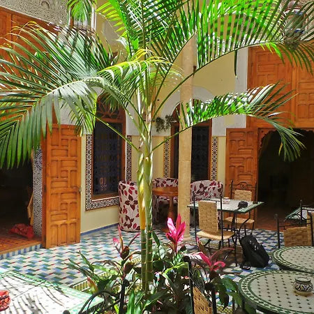 Riad Zohor